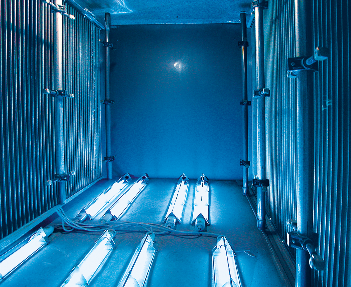  | Professional Solutions for UV-C disinfection Light Progress 